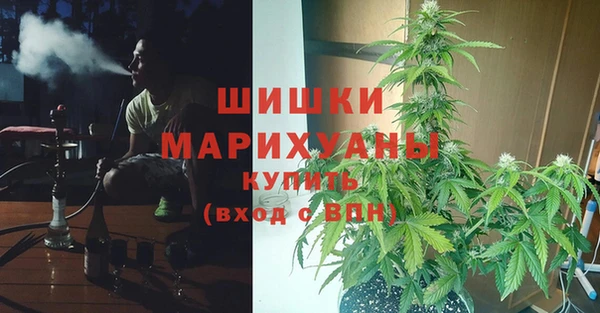 MESCALINE Вяземский